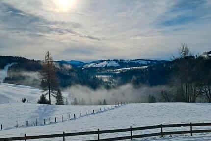 Wohnung Stiefenhofen - 3 Zimmer, 100 m&sup2;, 1.000&euro; | Angebot:25992253