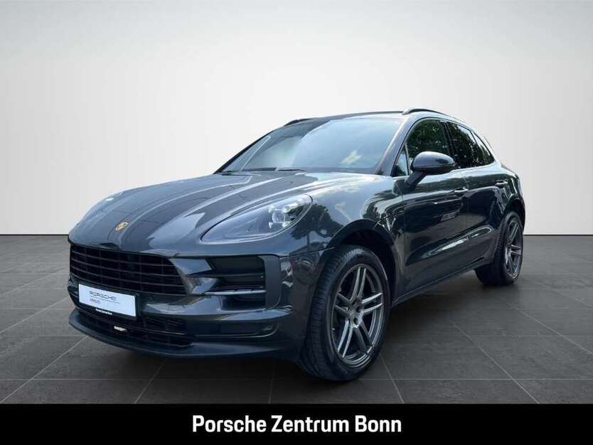 Macan