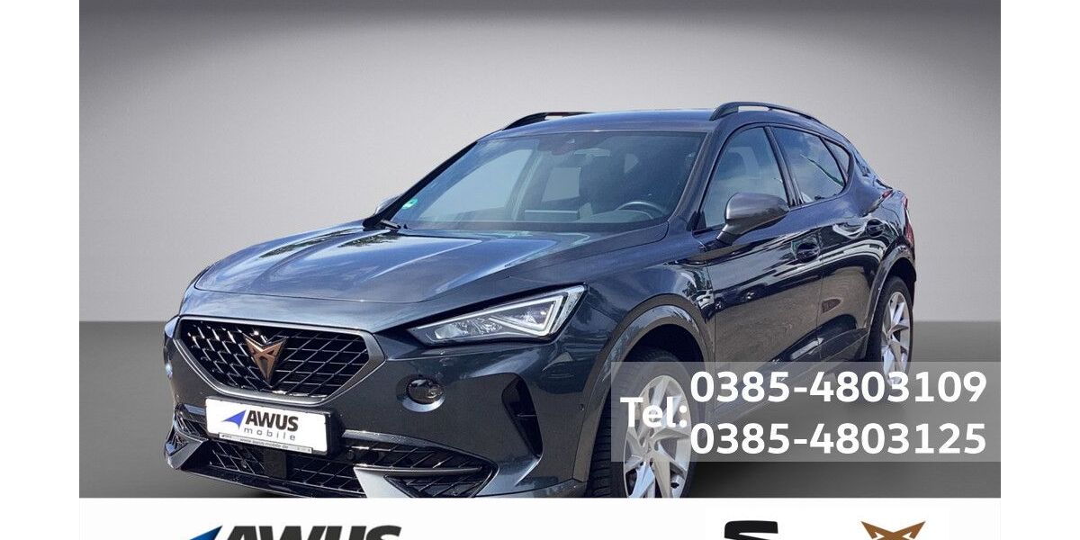 Cupra Formentor 17.850 km 31.990 &euro; Schwerin 19057