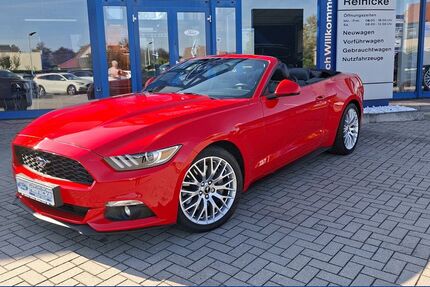 Ford Mustang 32.586 km 29.840 &euro; Mücheln / Geiseltal 06249