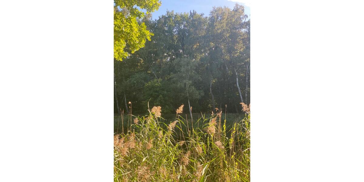 Luxusbungalow im Naturparadies - Zwischenmiete Feb 2026 1 zimmer