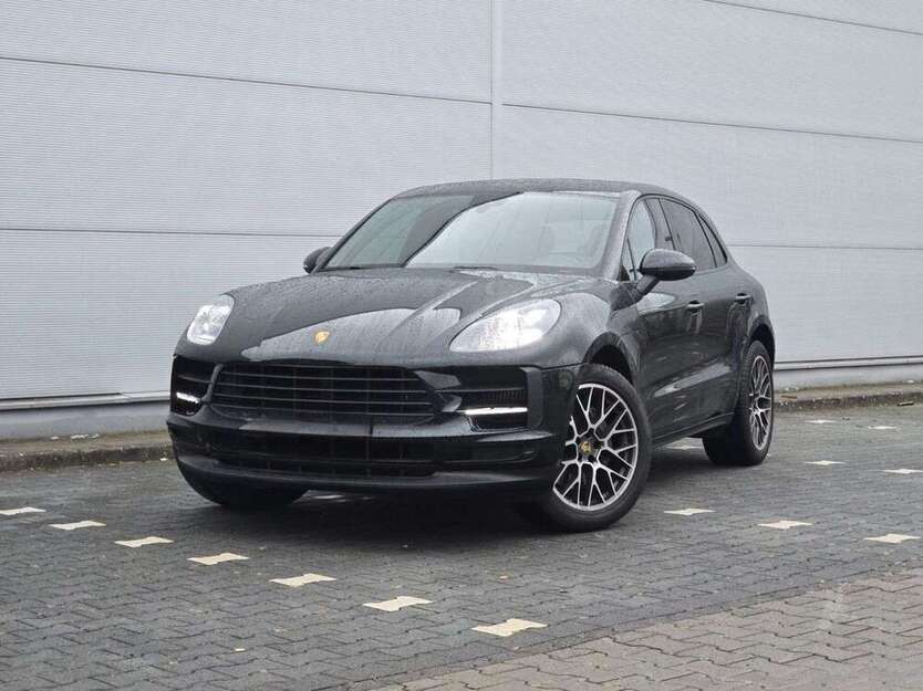 Macan