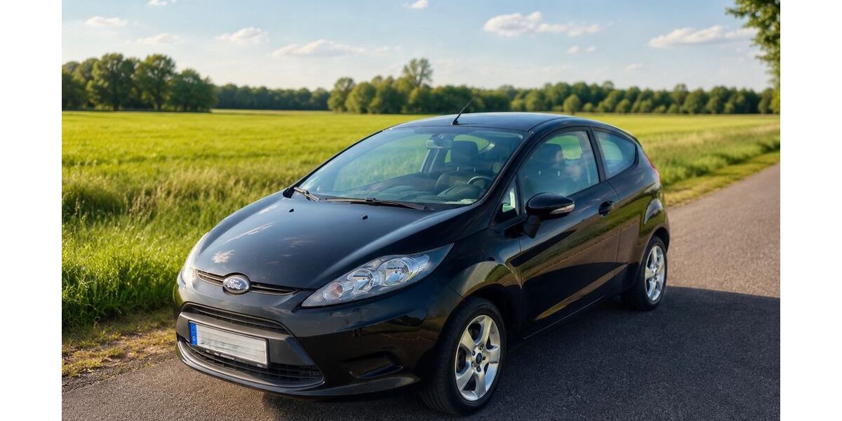 Ford Fiesta 170.000 km 3.649 &euro; Bad Bentheim 48455