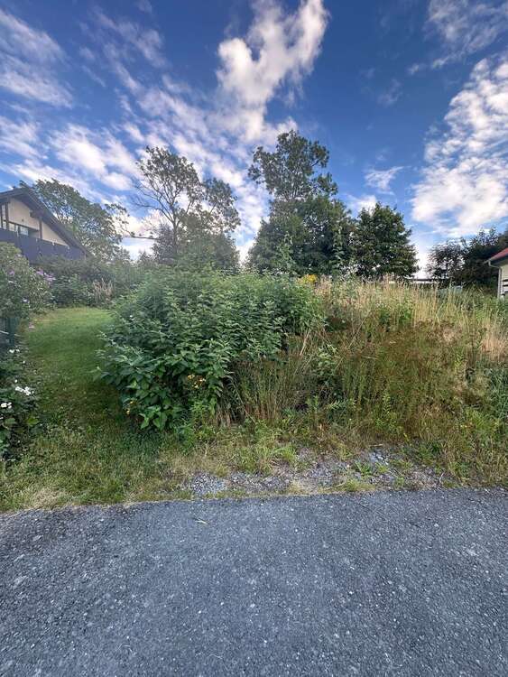 Grundstück zu verkaufen in Schloditz 35.000 € 559 m²
