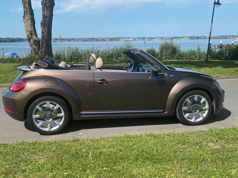 Beetle