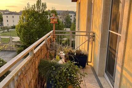 Wohnung Dresden / Trachau Trachau - 3 Zimmer, 93 m&sup2;, 356.200&euro; | Angebot:27126899