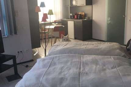 Zimmer Bexbach Rothmühle - 2 Zimmer, 1.260&euro; | Angebot:24985284