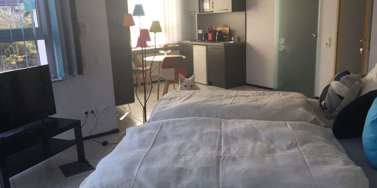 Zimmer Bexbach Rothmühle - 2 Zimmer, 1.260&euro; | Angebot:24985284