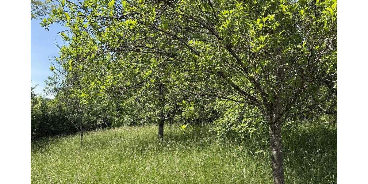 Grundstück Berglen Ödernhardt - 17.000&euro; | Angebot:25746460