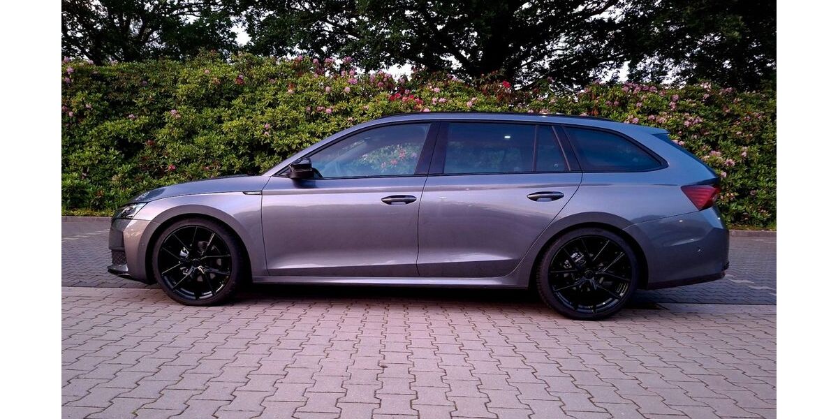Skoda Octavia 2.250 km 34.600 &euro; Cappeln 49692