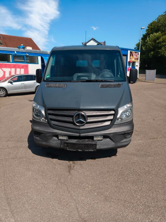 Sprinter