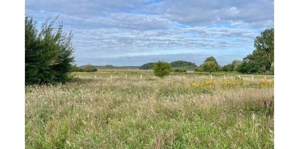 Grundstück Rechlin - 220.000&euro; | Angebot:25731718