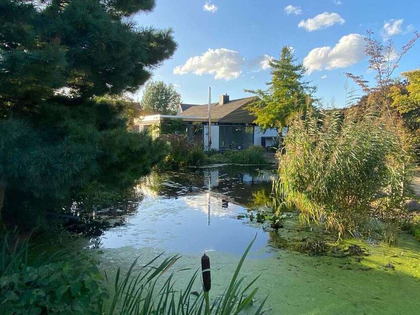 Haus zum Mieten in Braunschweig 2.200 € 137 m² 4 zimmer