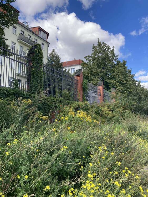 Wohnung zum Kaufen in Berlin 469.000 € 73 m²