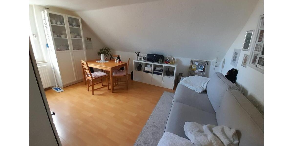 Dachgeschoßwohnung Herten Bertlich - 2 Zimmer, 36 m&sup2;, 290&euro; | Angebot:26662277