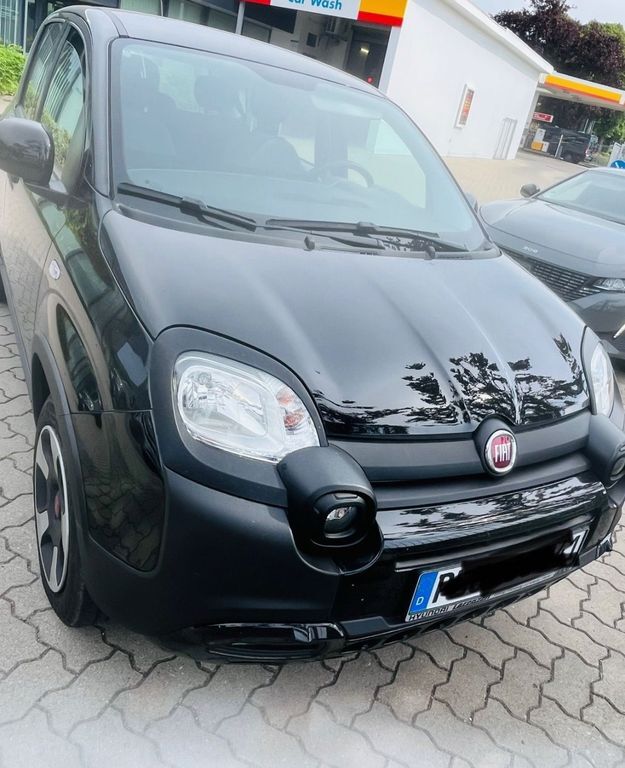 Panda