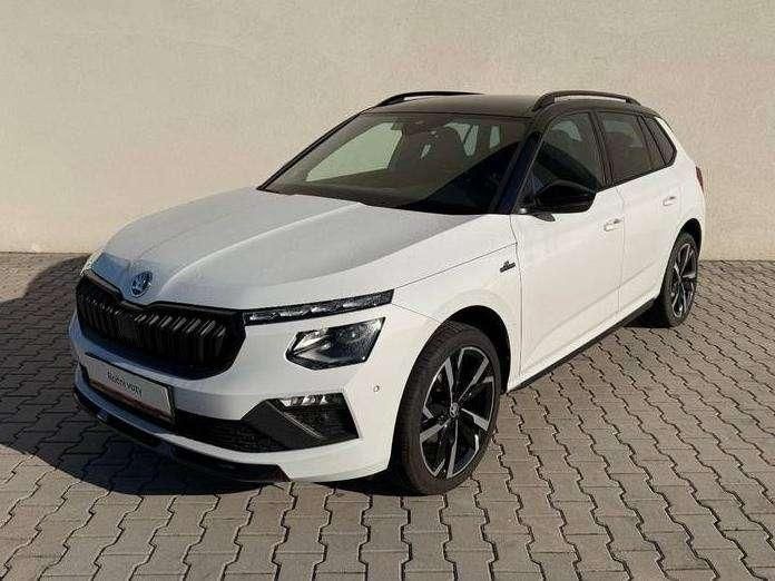 Skoda Kamiq 16.900 km 27.990 &euro; Lauter-Bernsbach 08315