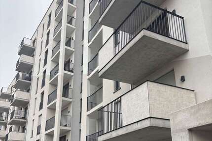 Wohnung zum Mieten in Frankfurt am Main 2.250 € 117 m² 4 zimmer