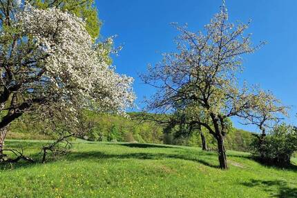Traumhaftes Baugrundstück in idyllischer, sehr ruhiger Lage in Jena zimmer