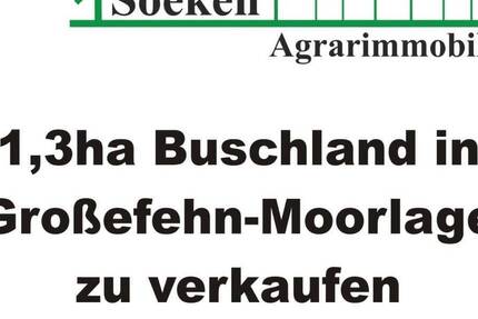 Grundstück Großefehn Aurich-Oldendorf - 13.000&euro; | Angebot:25692853