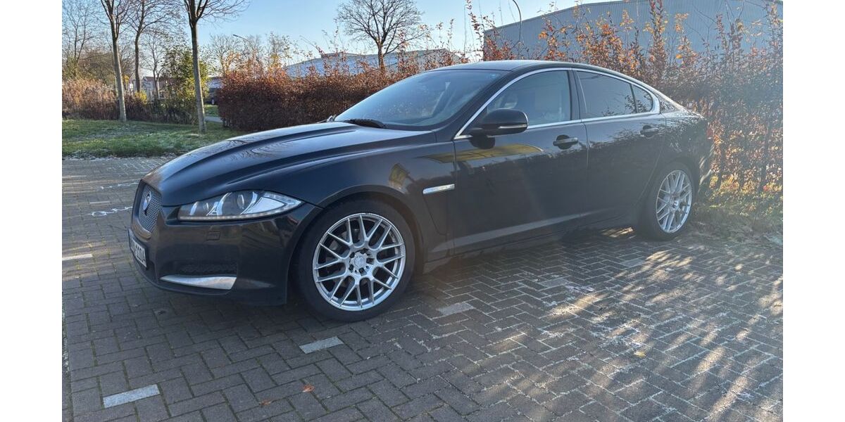 Jaguar XF 259.000 km 4.700 &euro; Pinneberg 25421