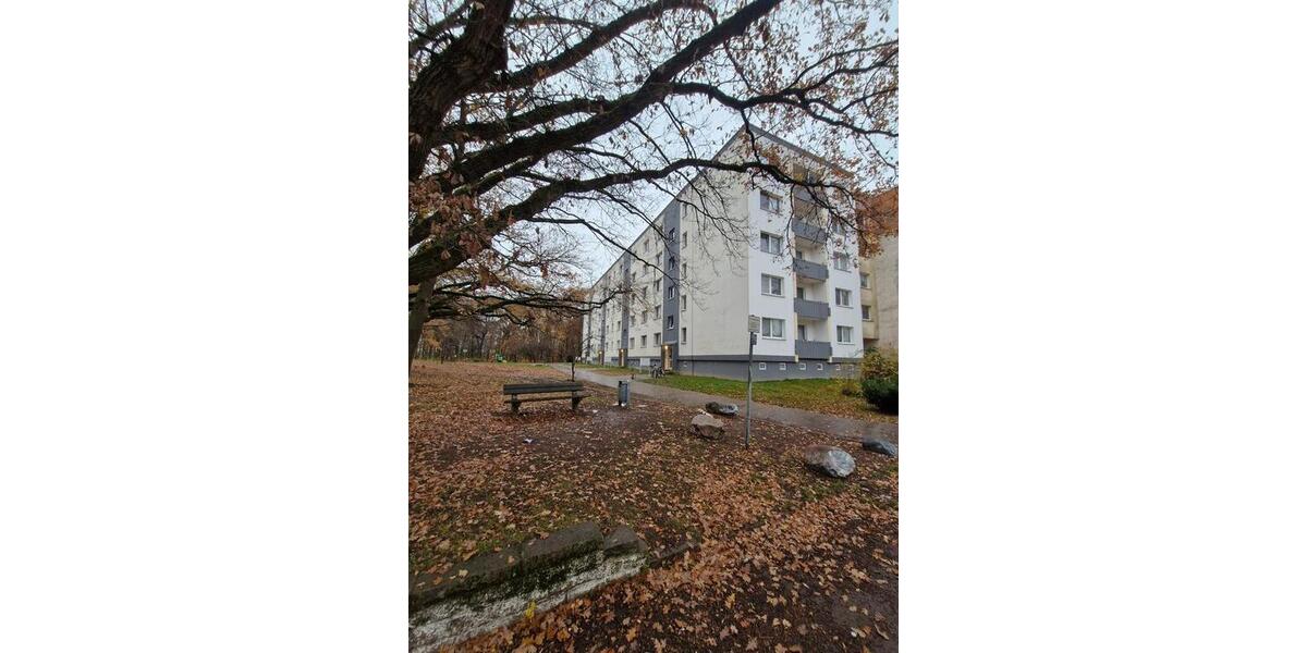 Erdgeschoßwohnung Schwerin Mueß - 2 Zimmer, 47 m&sup2;, 295&euro; | Angebot:25234046