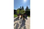 Einfamilienhaus Eisenhüttenstadt - 390.000&euro; | Angebot:25793150