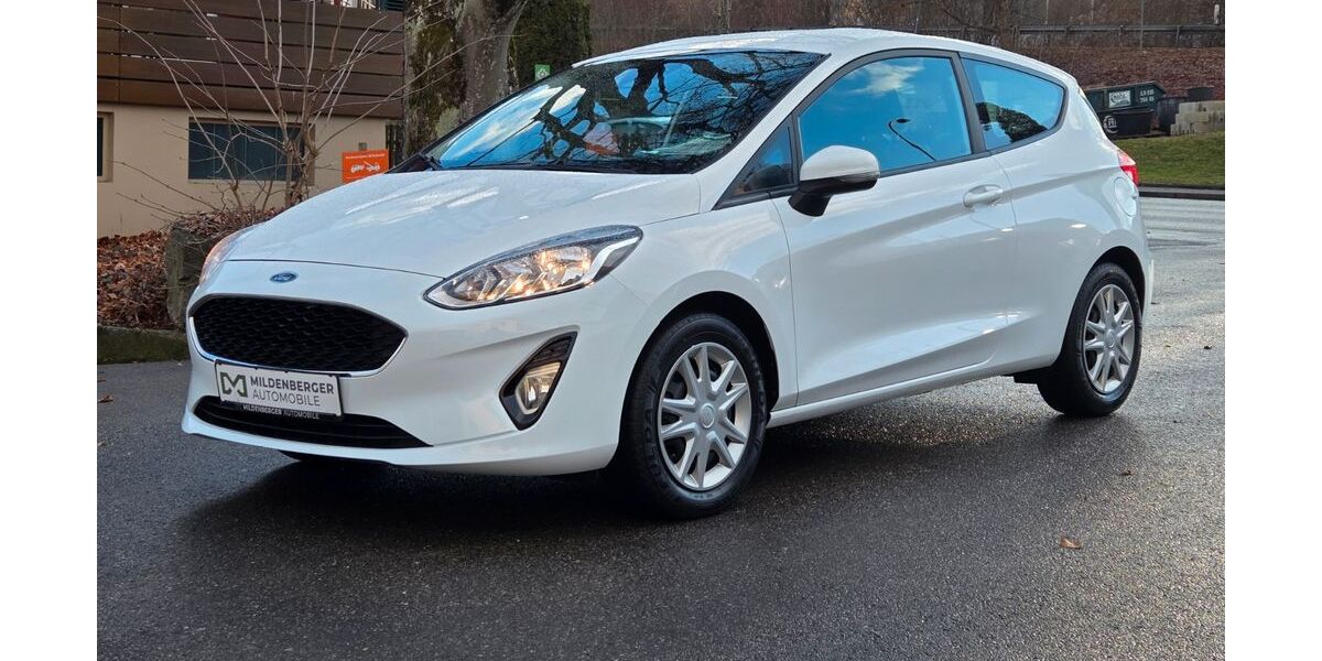 Ford Fiesta 113.400 km 8.899 &euro; Baden-Württemberg - Nagold 72202