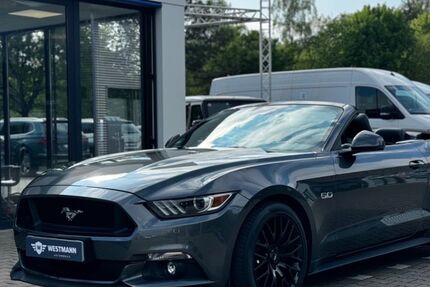 Ford Mustang 40.850 km 36.500 &euro; Halle Westfalen 33790