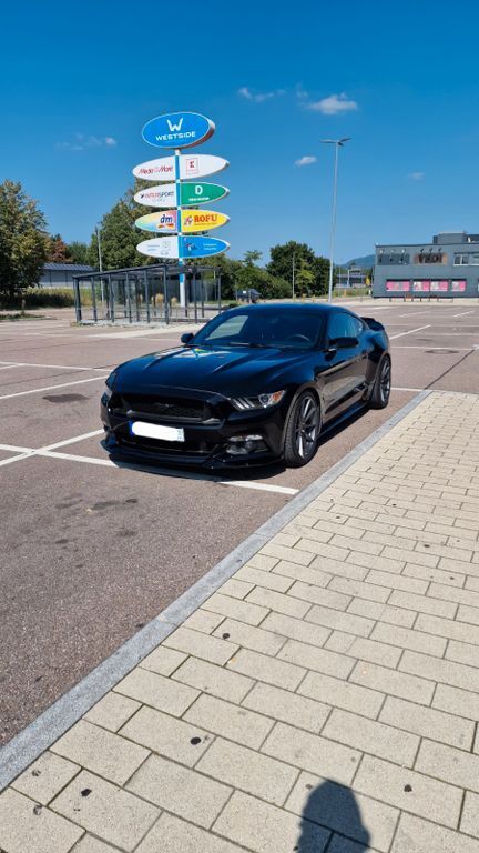 Mustang