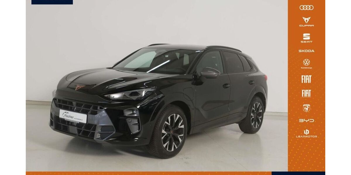 Cupra Terramar 17.802 km 38.480 &euro; Amberg 92224