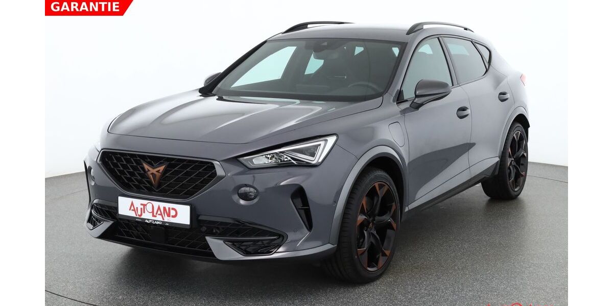 Cupra Formentor 55.084 km 28.990 &euro; Dresden 01239