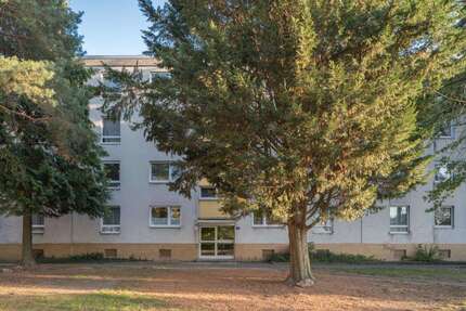 Wohnung Wolfsburg Wendschott - 3 Zimmer, 70 m&sup2;, 610&euro; | Angebot:26864954