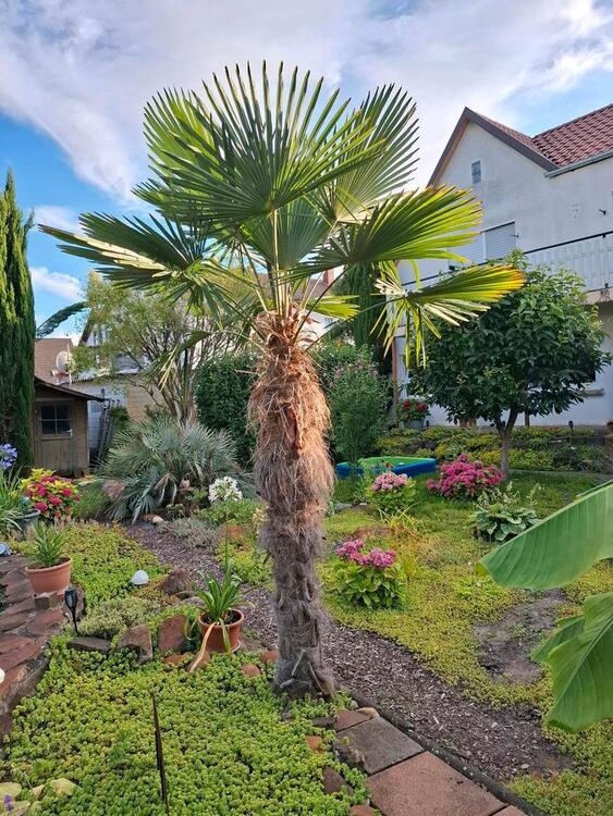 Großes Wohnhaus mit Garten