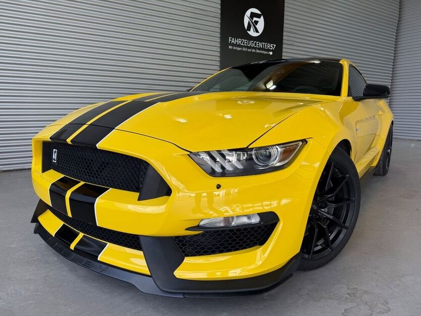 Mustang