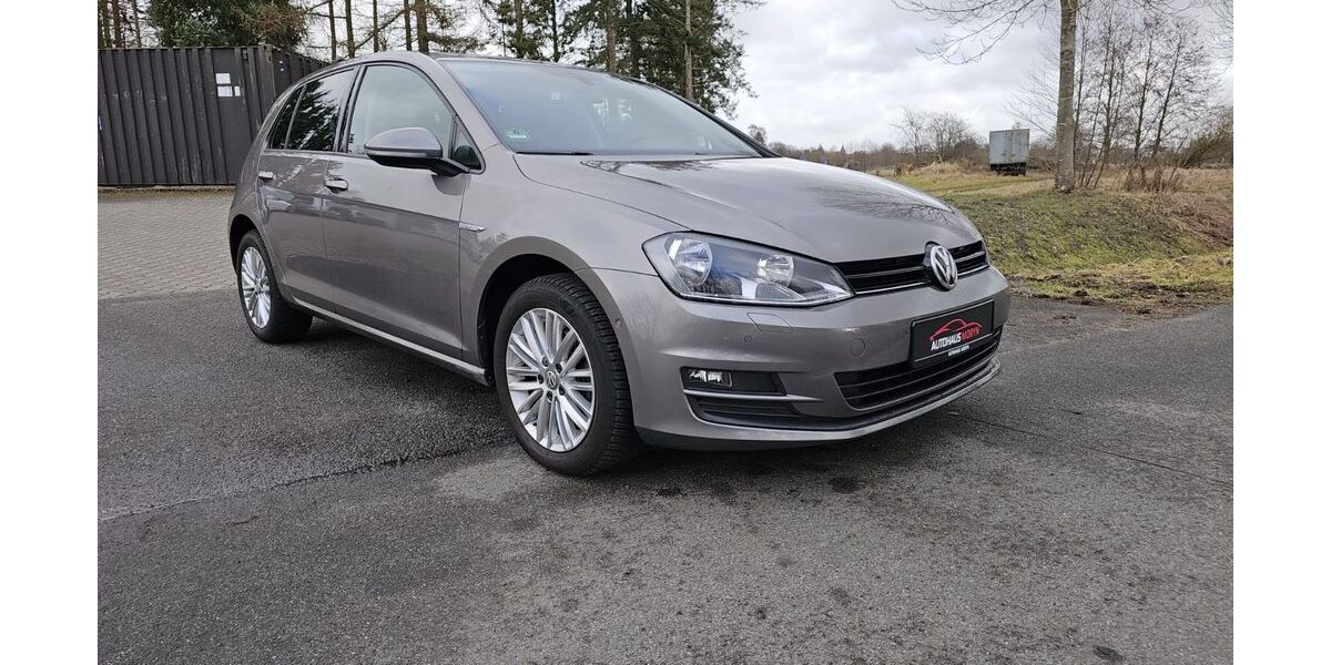 VW Golf 142.000 km 10.900 &euro; Bleckede 21354