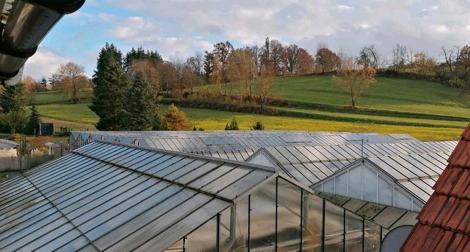 1 - 2 Familien-Wohnhaus mit Rest-Gärtnerei zu verkaufen 7 zimmer