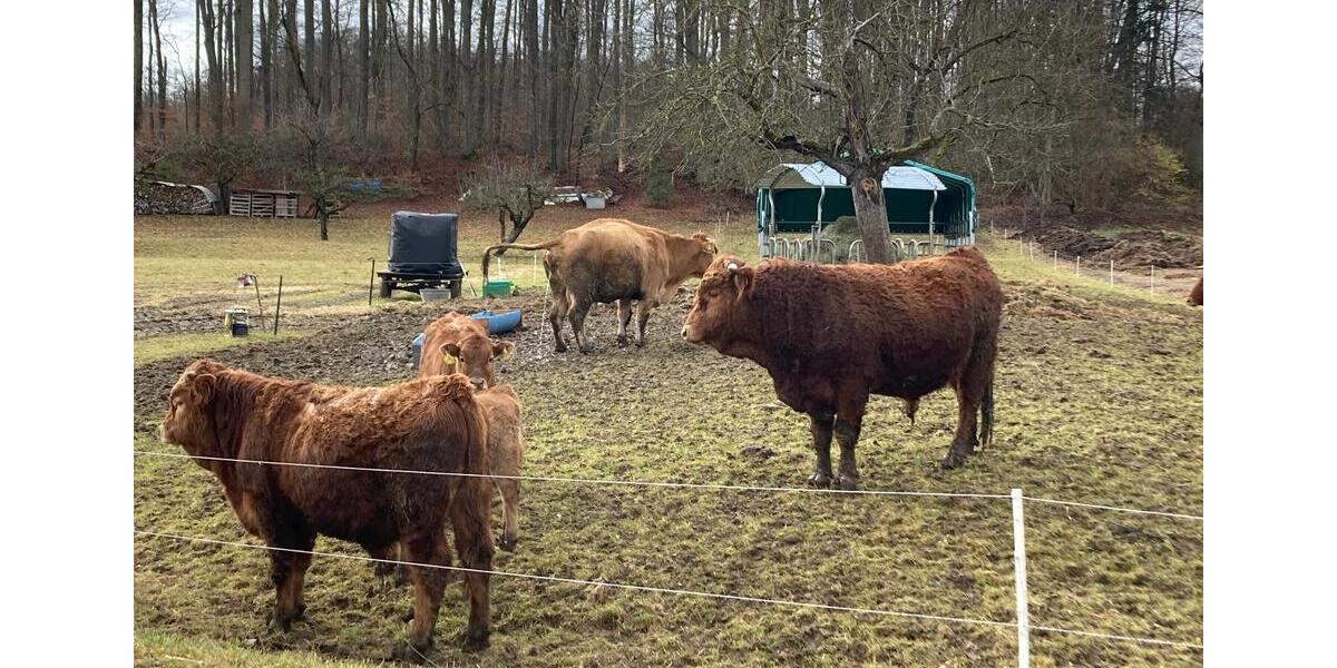 Grundstück Kirchheim unter Teck - 25.000&euro; | Angebot:24998432