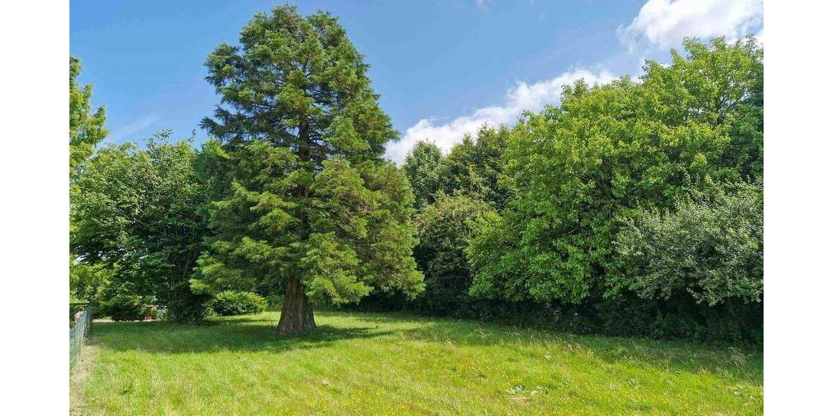 Grundstück Beldorf - 77.500&euro; | Angebot:25728057
