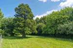 Grundstück Beldorf - 77.500&euro; | Angebot:25728057