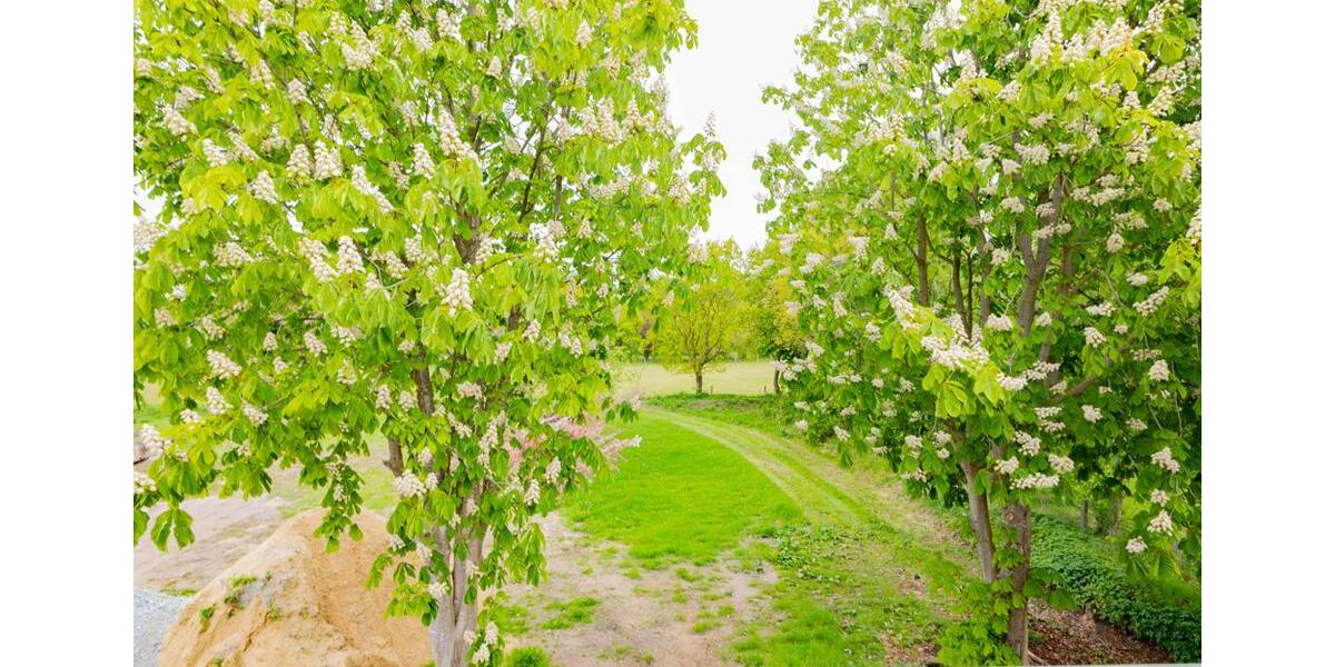 Dachgeschoßwohnung Weddingstedt - 2 Zimmer, 75 m&sup2;, 830&euro; | Angebot:26585915
