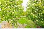 Dachgeschoßwohnung Weddingstedt - 2 Zimmer, 75 m&sup2;, 830&euro; | Angebot:26585915