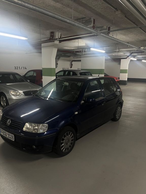 Polo