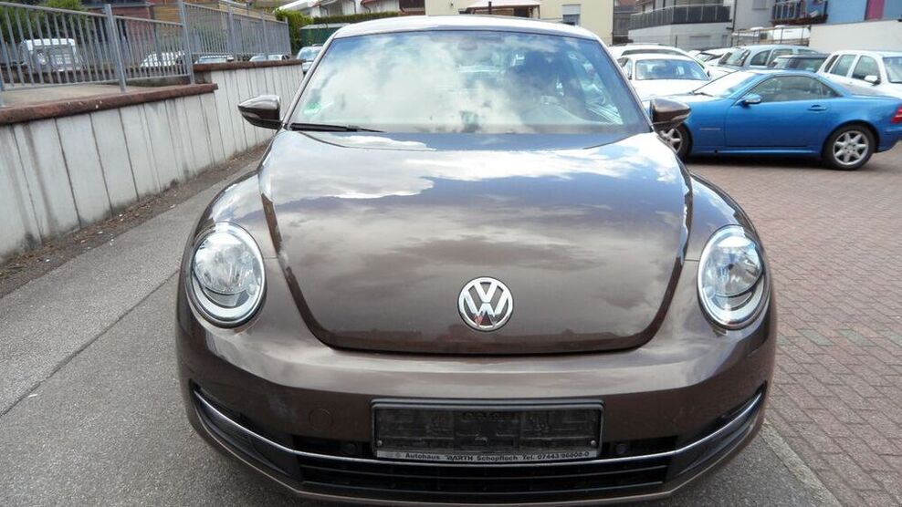 Beetle