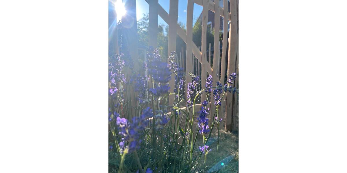 Doppelhaushälfte Petershagen/Eggersdorf Eggersdorf - 5 Zimmer, 110 m&sup2;, 1.600&euro; | Angebot:25310445