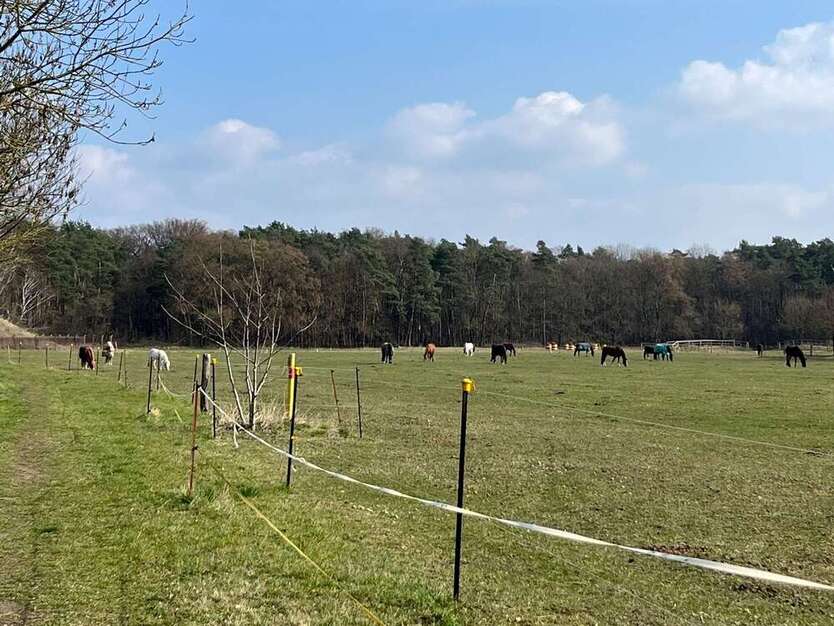 Paketverkauf in Falkensee: Zwei Reihenhäuser in ruhiger u. grüner Siedlungslage nahe Potsdam +Berlin 9 zimmer