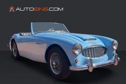 Austin Healey Andere