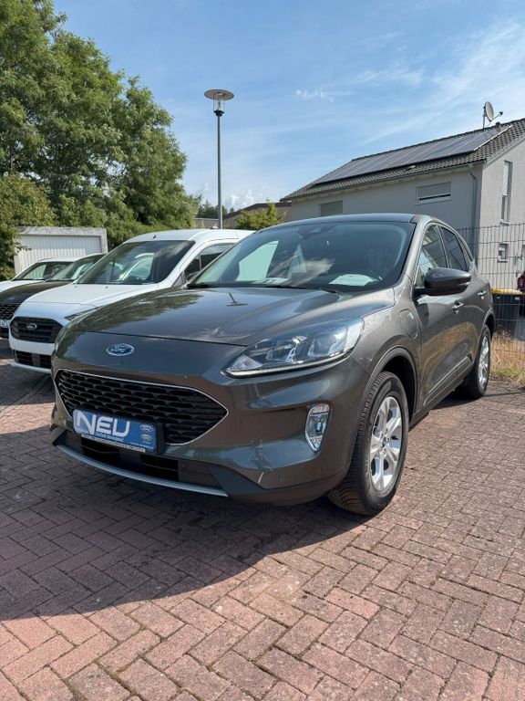 Kuga