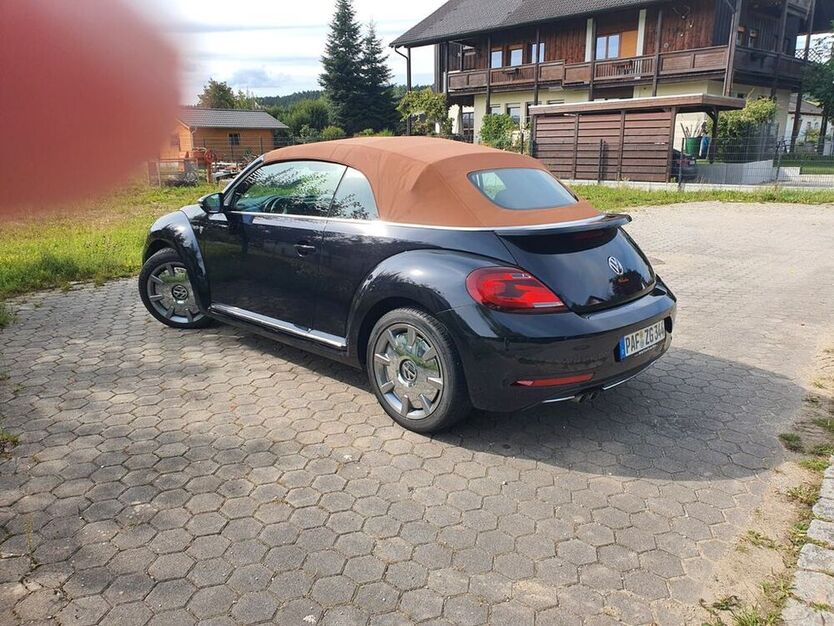 Beetle