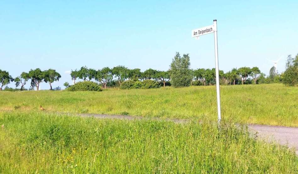 Grundstück zu verkaufen in Beckum 224.730 € 681 m² zimmer